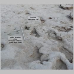 DSCN0679cr labeled.jpg